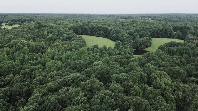 $334,000 | 5128 Louise Road, Cumberland Furnace, TN 37051