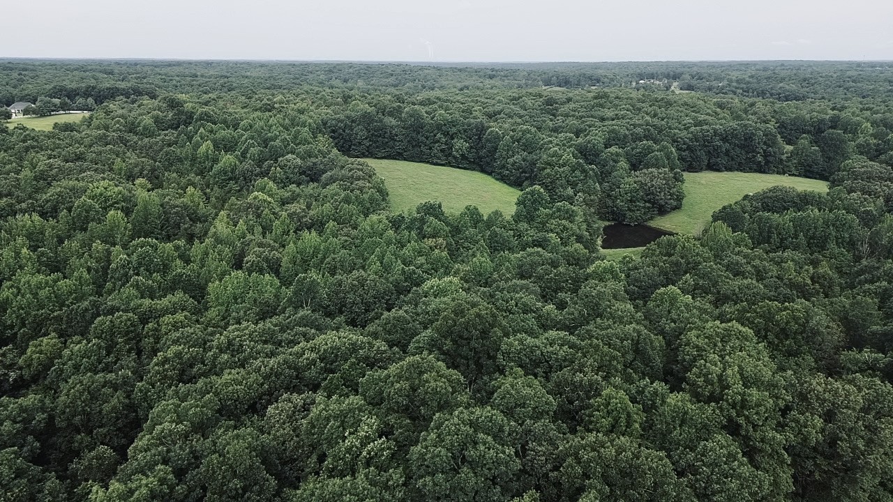 5128 Louise Road Cumberland Furnace, TN 37051 - Photo 3 of 4