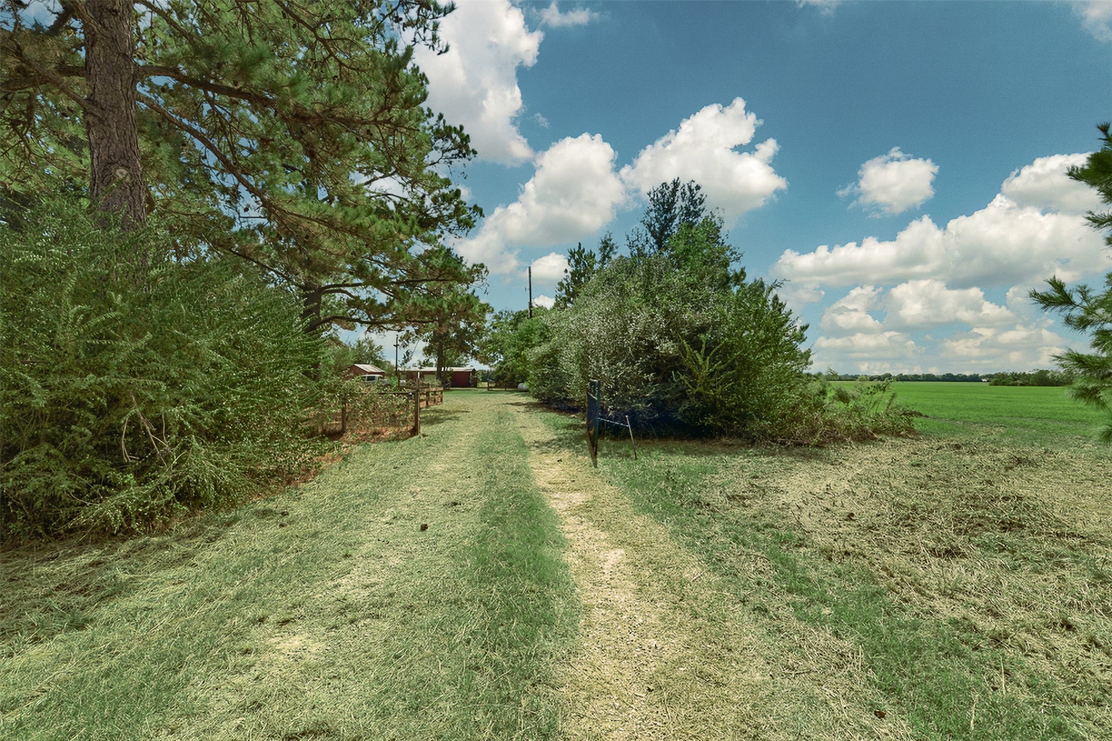 29211 Castle Road Waller, TX 77484 - Photo 15 of 24 Gallery Image 15