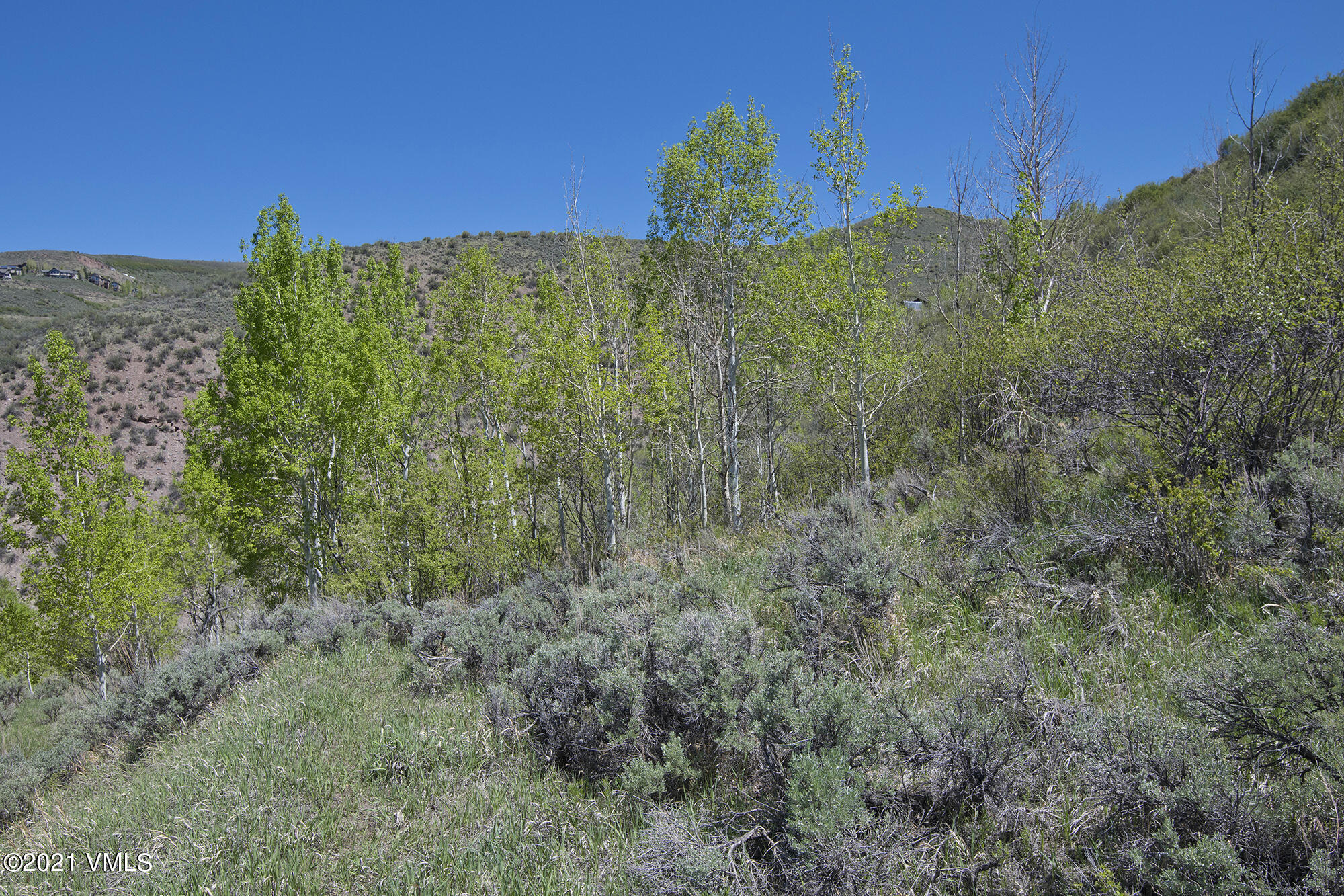 1066 West Wildwood Road, Unit D Avon, CO 81620 - Photo 20 of 21 a view of a green field