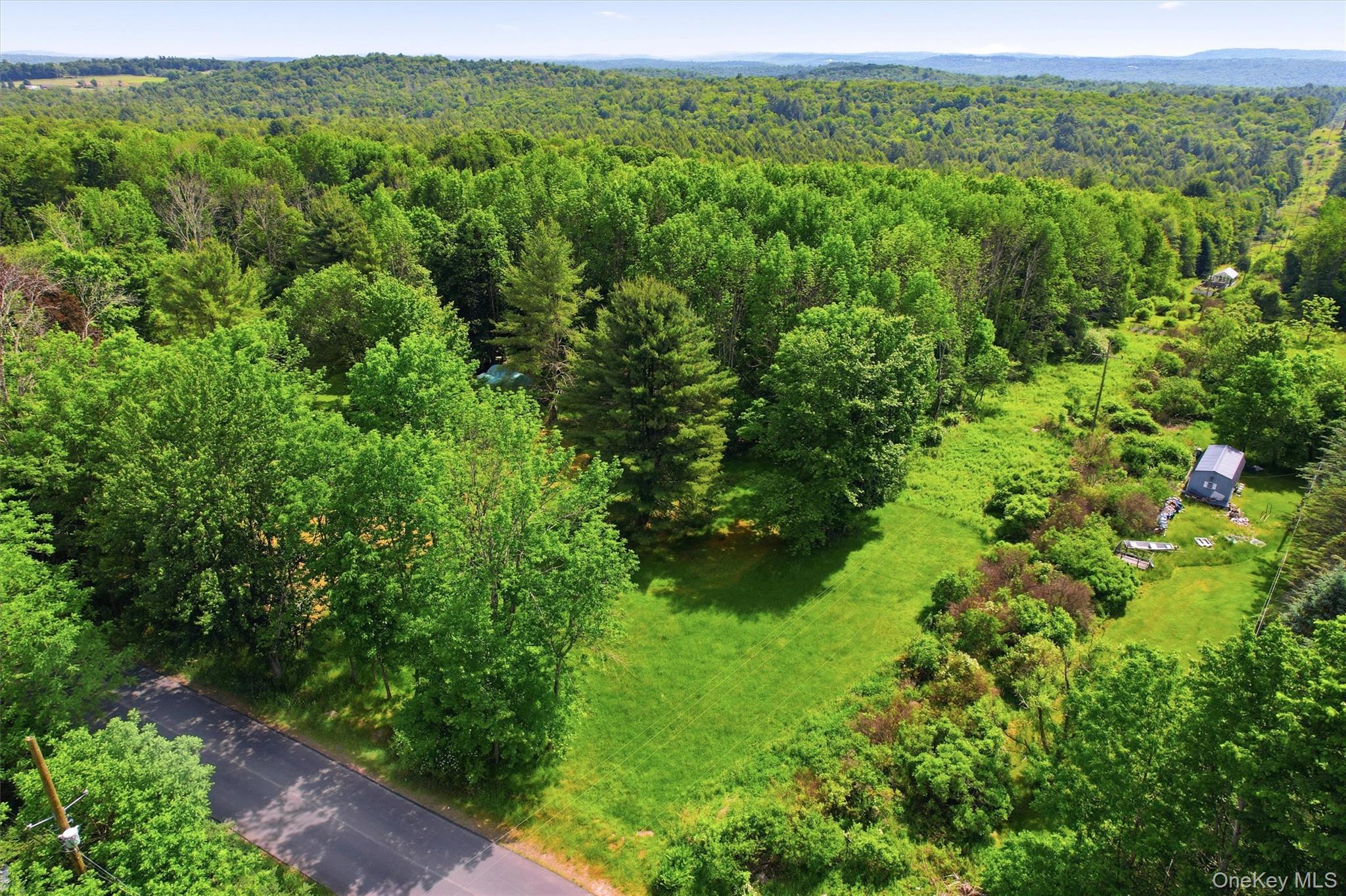Tbd Britman Road Bethel, NY 12720 - Photo 8 of 16