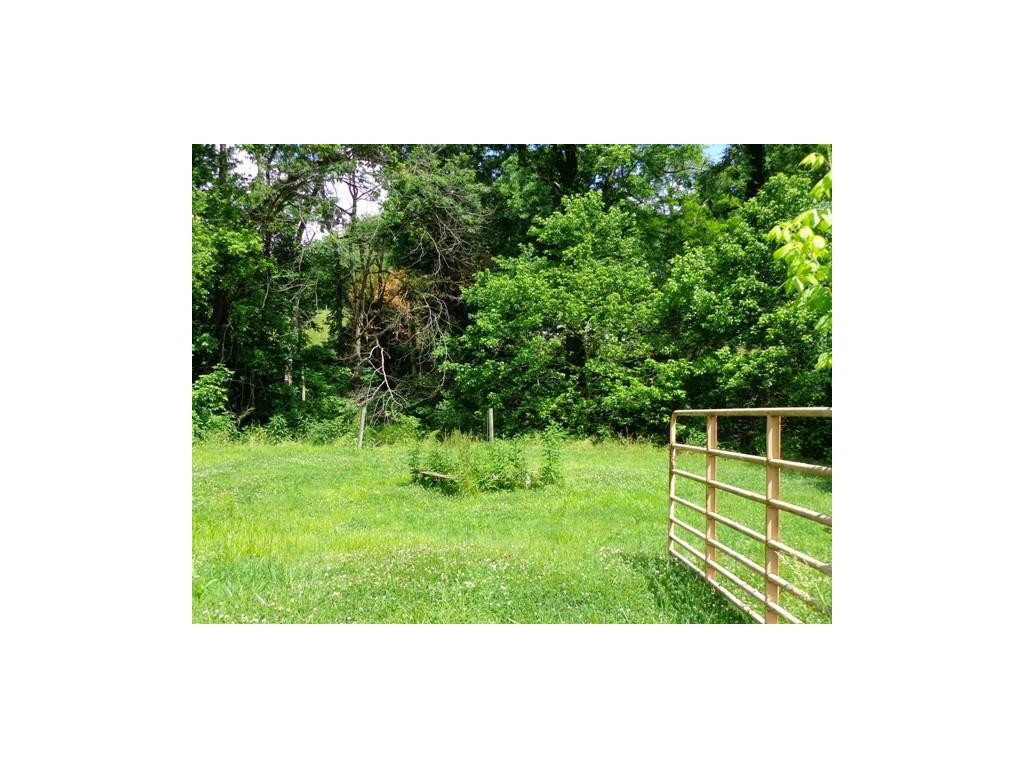 24239 Watauga Road Abingdon, VA 24211 - Photo 7 of 19 Photo 7
