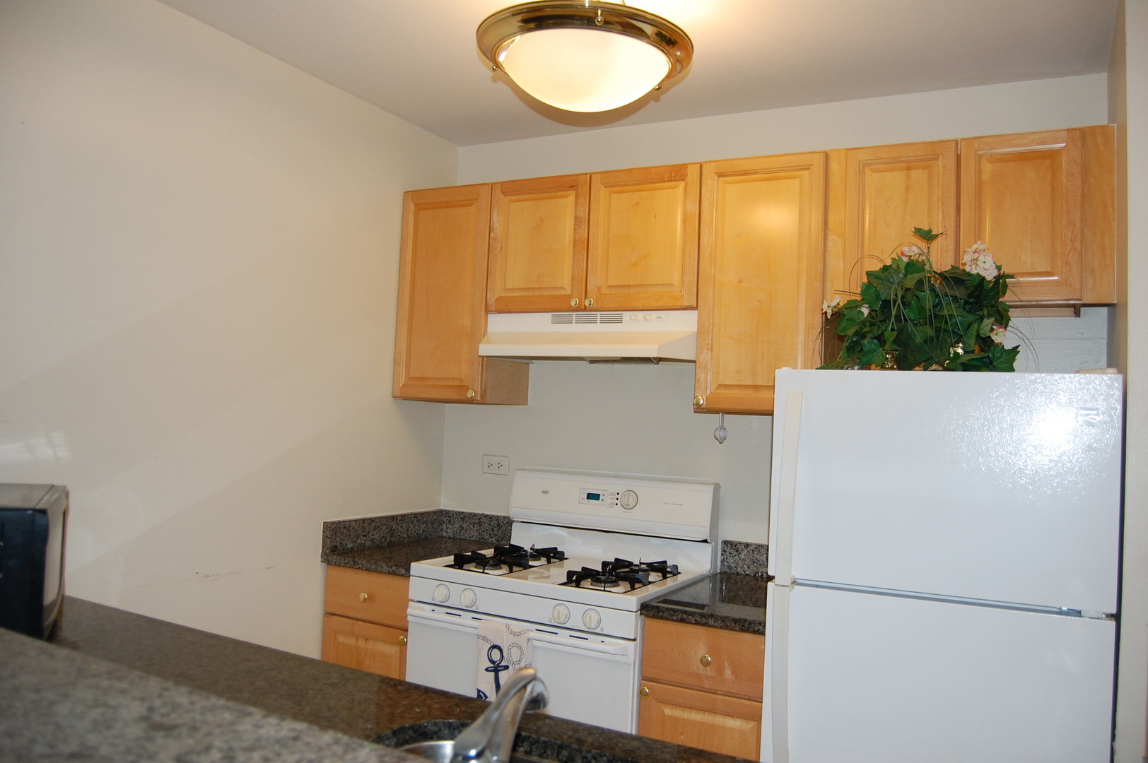 1919 Prairie Square, Unit 102 Schaumburg, IL 60173 - Photo 13 of 25 a kitchen with a refrigerator and a stove