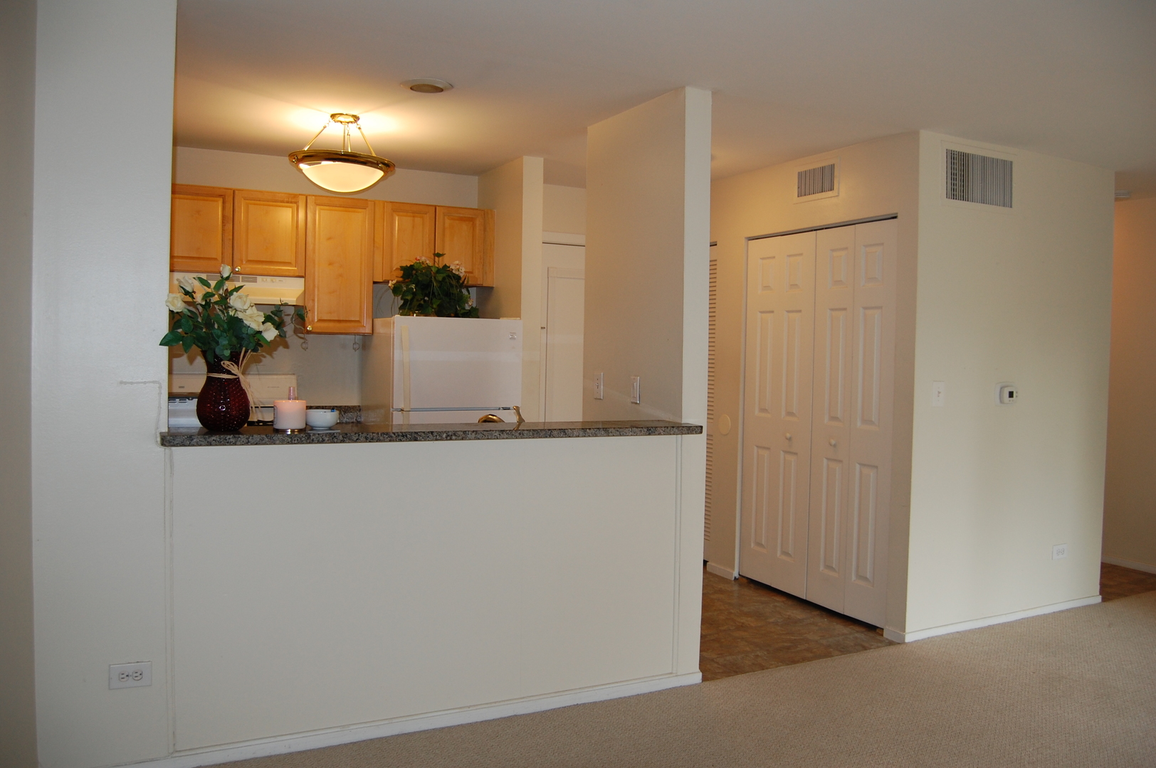 1919 Prairie Square, Unit 102 Schaumburg, IL 60173 - Photo 3 of 25 a view of a living room and entryway