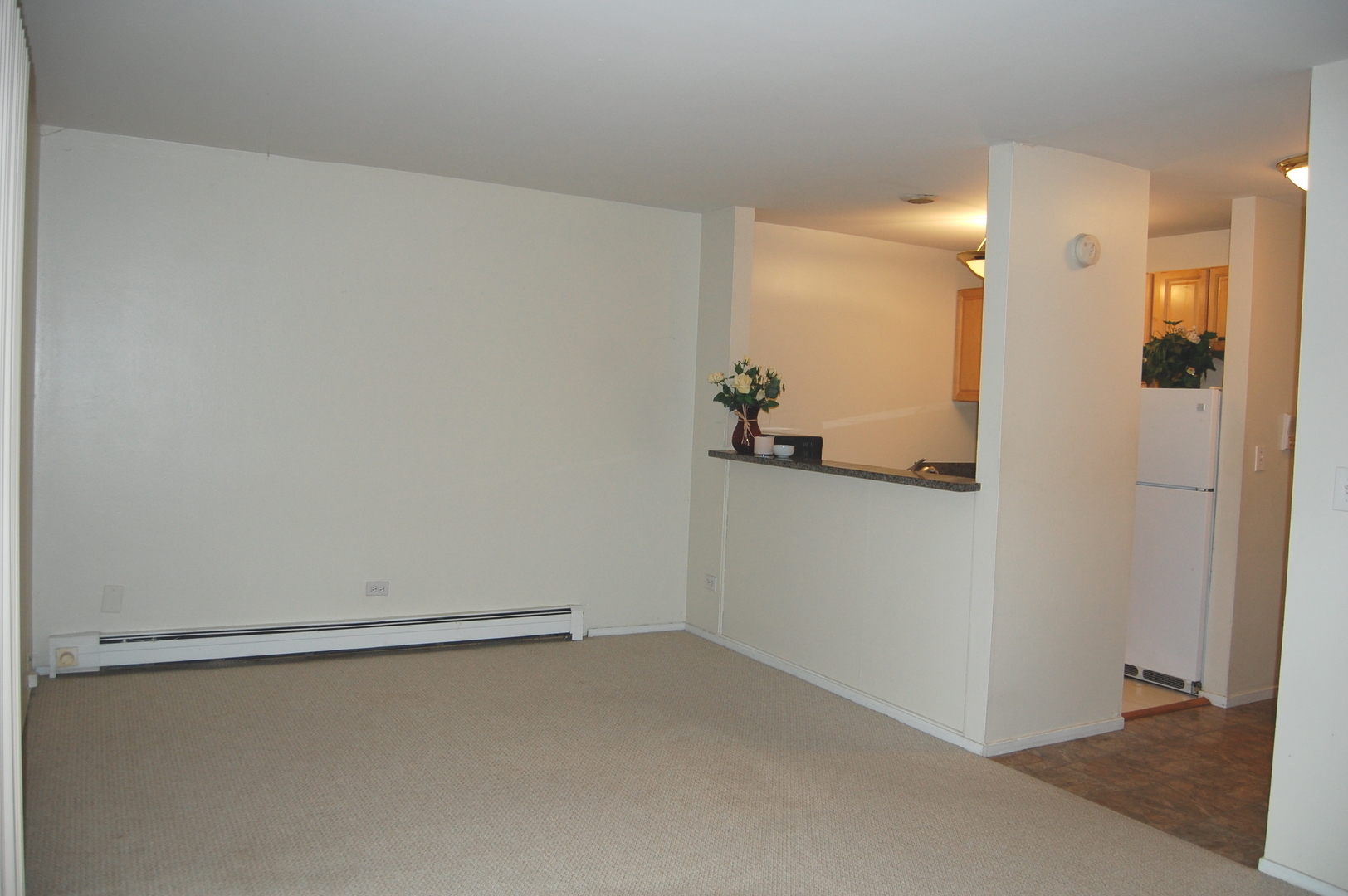 1919 Prairie Square, Unit 102 Schaumburg, IL 60173 - Photo 10 of 25 a view of small space