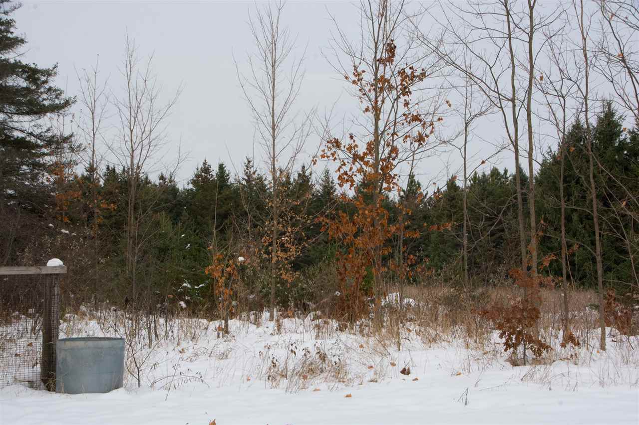 1193 Tyler Road Southeast Kalkaska, MI 49646 - Photo 32 of 35 1869209-34.JPG