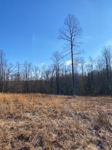 142 Cole Road Deer Lodge, TN 37726 - Photo 45 of 77 20220322195759503592000000-o