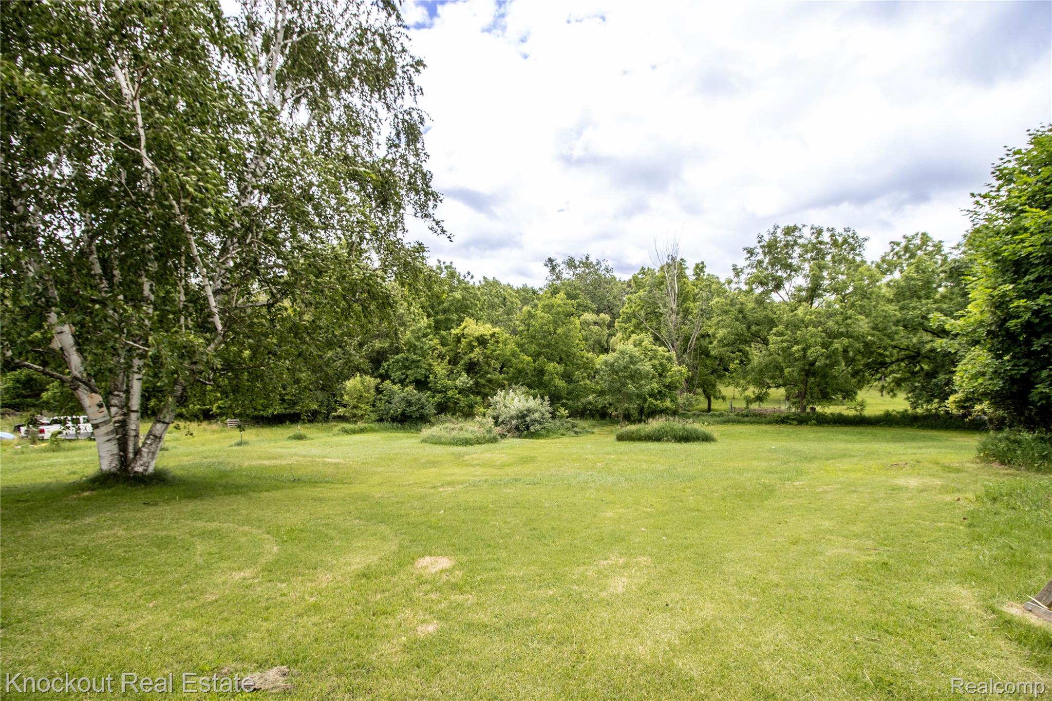 19983 West Ridge Road Henderson, MI 48841 - Photo 67 of 76 Expansive green lawn framed by mature trees, featuring a prominent birch tree with white bark
