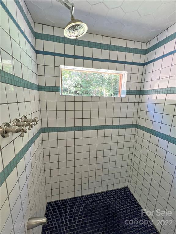 586 Rabbit Den Road Hot Springs, NC 28743 - Photo 16 of 46 Gallery Image 16