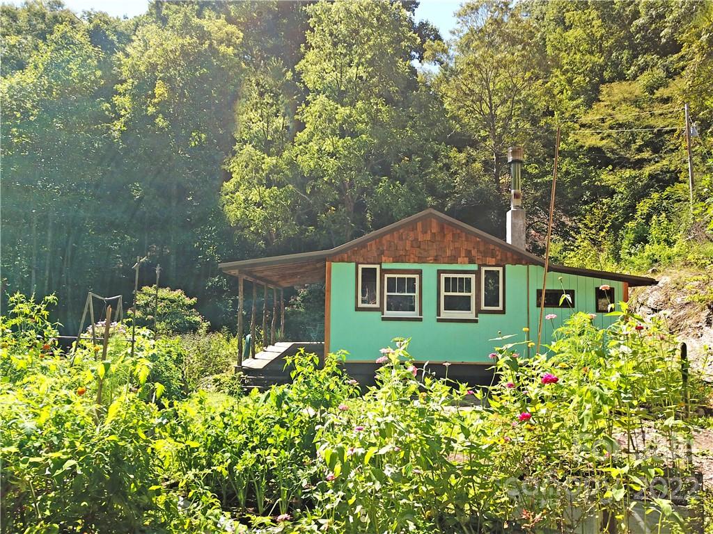586 Rabbit Den Road Hot Springs, NC 28743 - Photo 2 of 46 Gallery Image 2