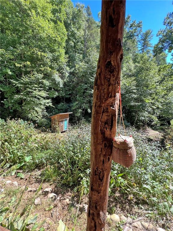 586 Rabbit Den Road Hot Springs, NC 28743 - Photo 28 of 46 Gallery Image 28
