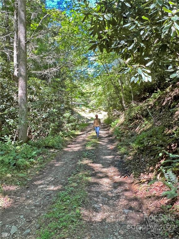 586 Rabbit Den Road Hot Springs, NC 28743 - Photo 30 of 46 Gallery Image 30