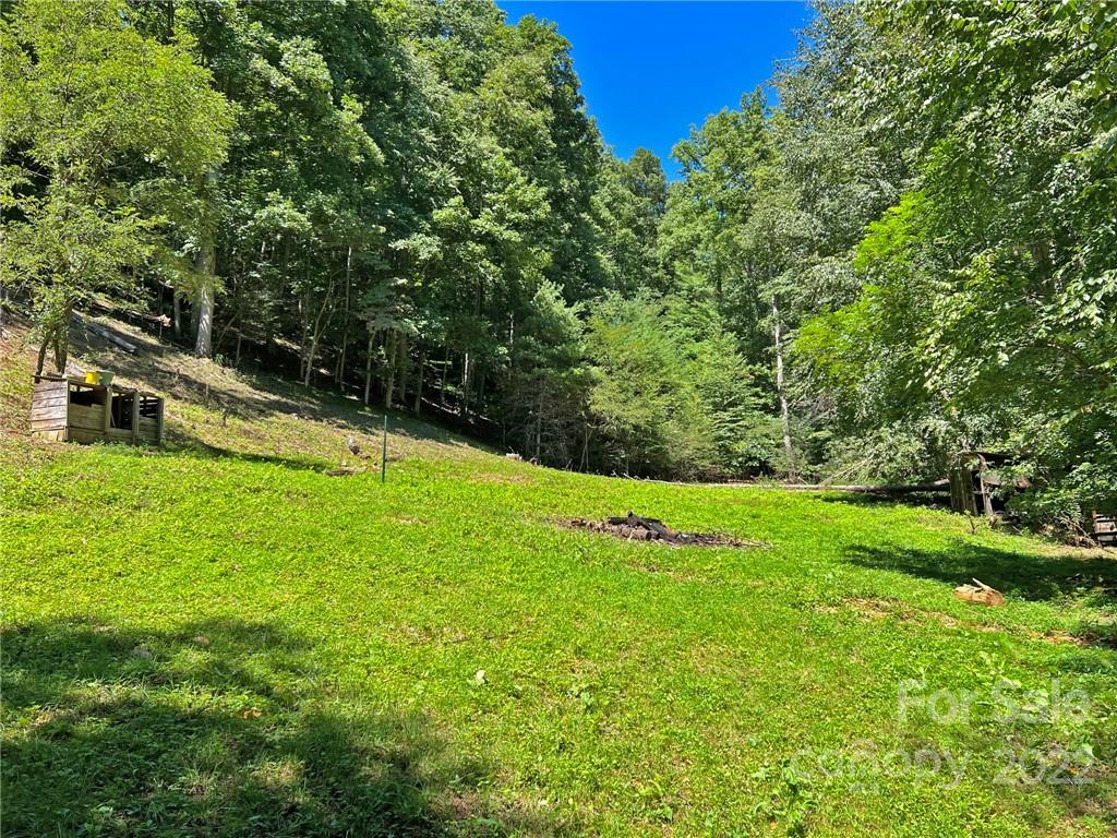 586 Rabbit Den Road Hot Springs, NC 28743 - Photo 3 of 46 Gallery Image 3