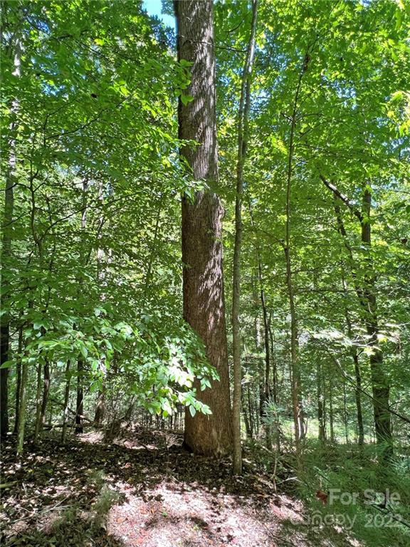 586 Rabbit Den Road Hot Springs, NC 28743 - Photo 35 of 46 Gallery Image 35