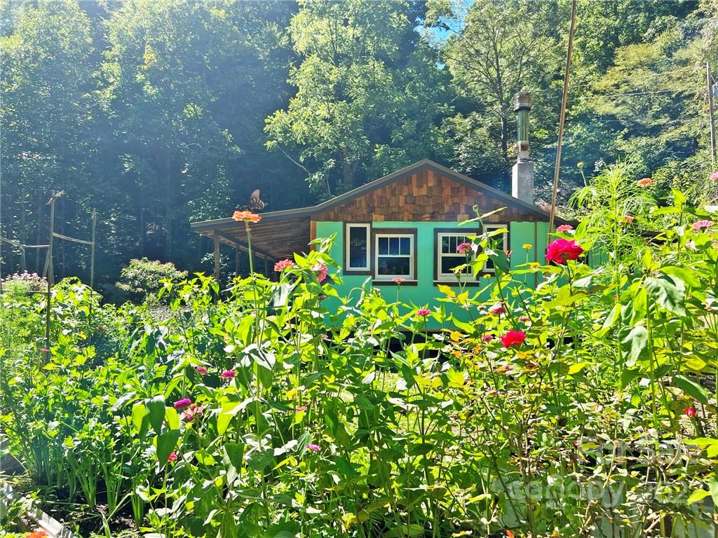 586 Rabbit Den Road Hot Springs, NC 28743 - Photo 4 of 46 Gallery Image 4