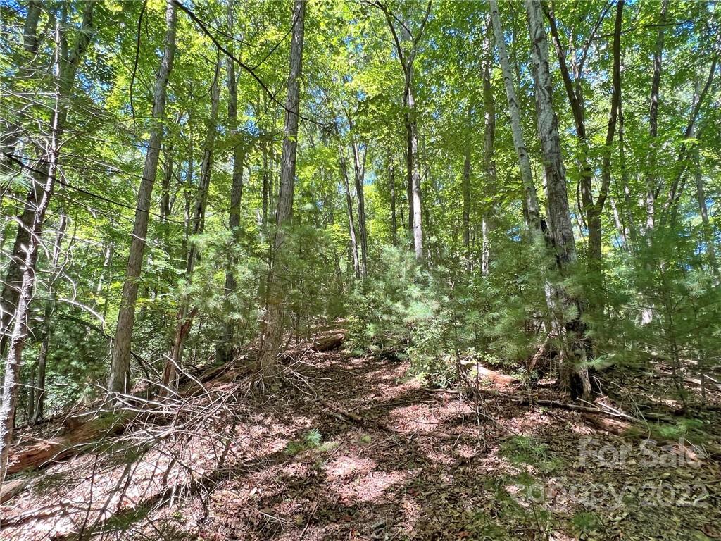 586 Rabbit Den Road Hot Springs, NC 28743 - Photo 44 of 46 Gallery Image 44
