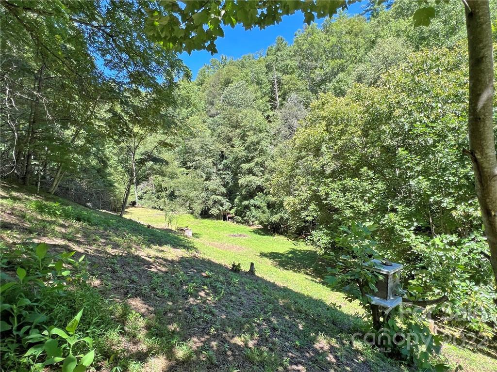 586 Rabbit Den Road Hot Springs, NC 28743 - Photo 45 of 46 Gallery Image 45