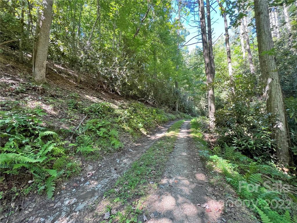 586 Rabbit Den Road Hot Springs, NC 28743 - Photo 46 of 46 Gallery Image 46
