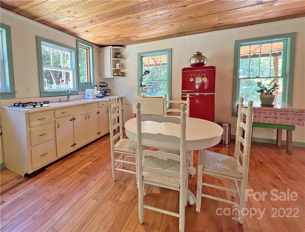 586 Rabbit Den Road Hot Springs, NC 28743 - Photo 8 of 46 Gallery Image 8