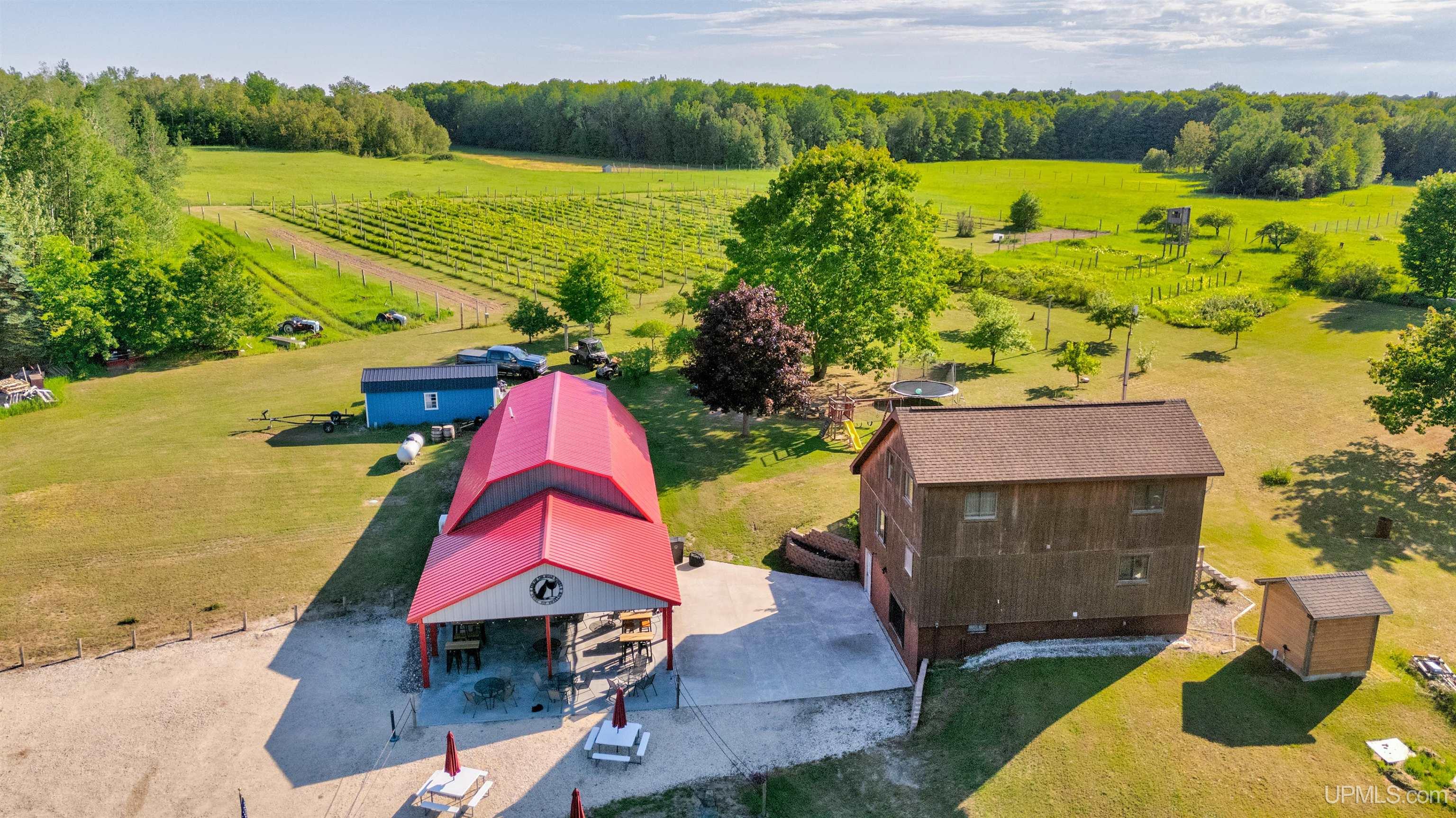 6917 Burns Road Germfask, MI 49836 - Photo 22 of 87