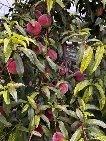 $485,000 | 7624 Gray Way, Arvada, CO 80003