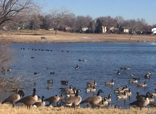 $485,000 | 7624 Gray Way, Arvada, CO 80003