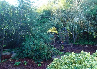 4552 Sullivan Court Santa Rosa, CA 95409 - Photo 10 of 12 Gate to Howarth Park