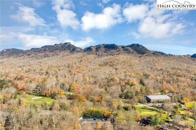 a view of a dry space with lots of trees