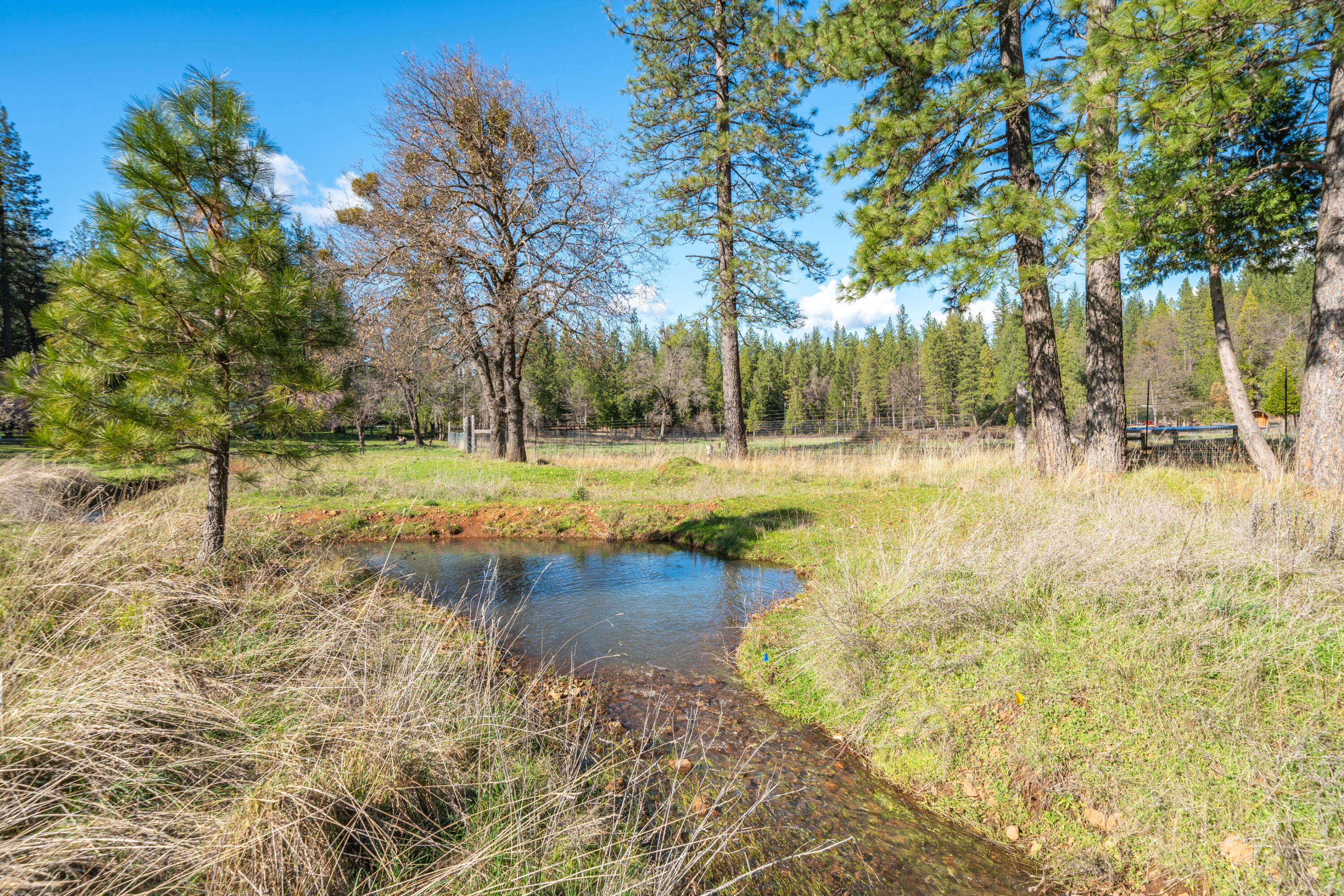 29276 Bullskin Ridge Road Oak Run, CA 96069 - Photo 107 of 113 29276 Bullskin Ridge Rd-140