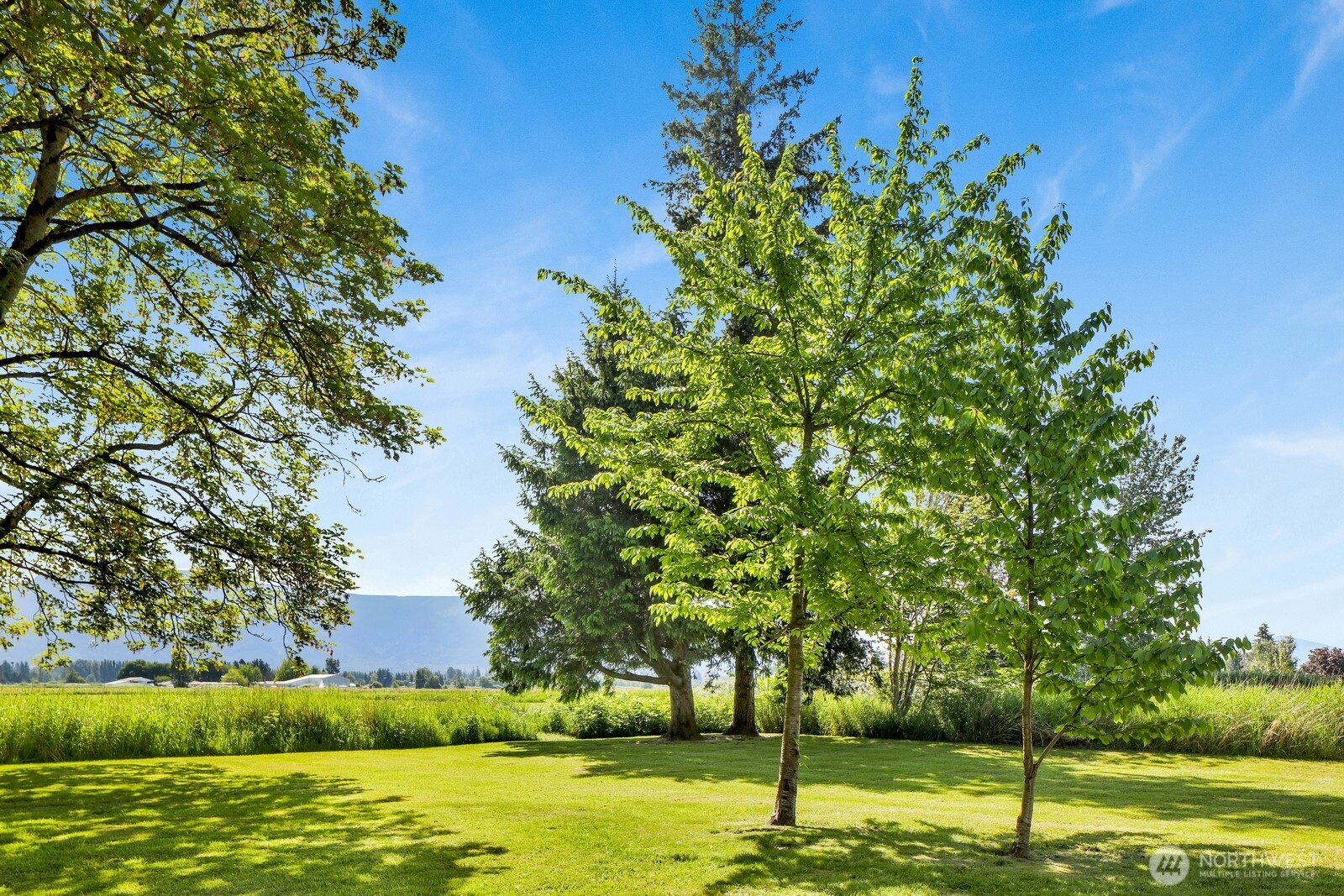 8172 Van Buren Road Everson, WA 98247 - Photo 23 of 33
