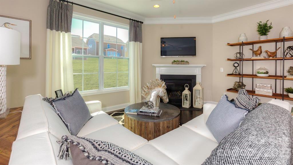 679 Fox Cove Road Hendersonville, NC 28792 - Photo 13 of 35 a living room with furniture a flat screen tv and a fireplace