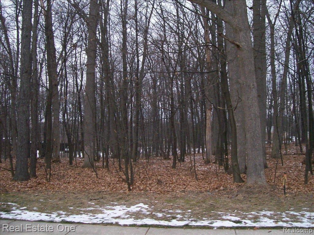Par B Thompson Street Howell, MI 48843 - Photo 2 of 12 Wooded Built Site