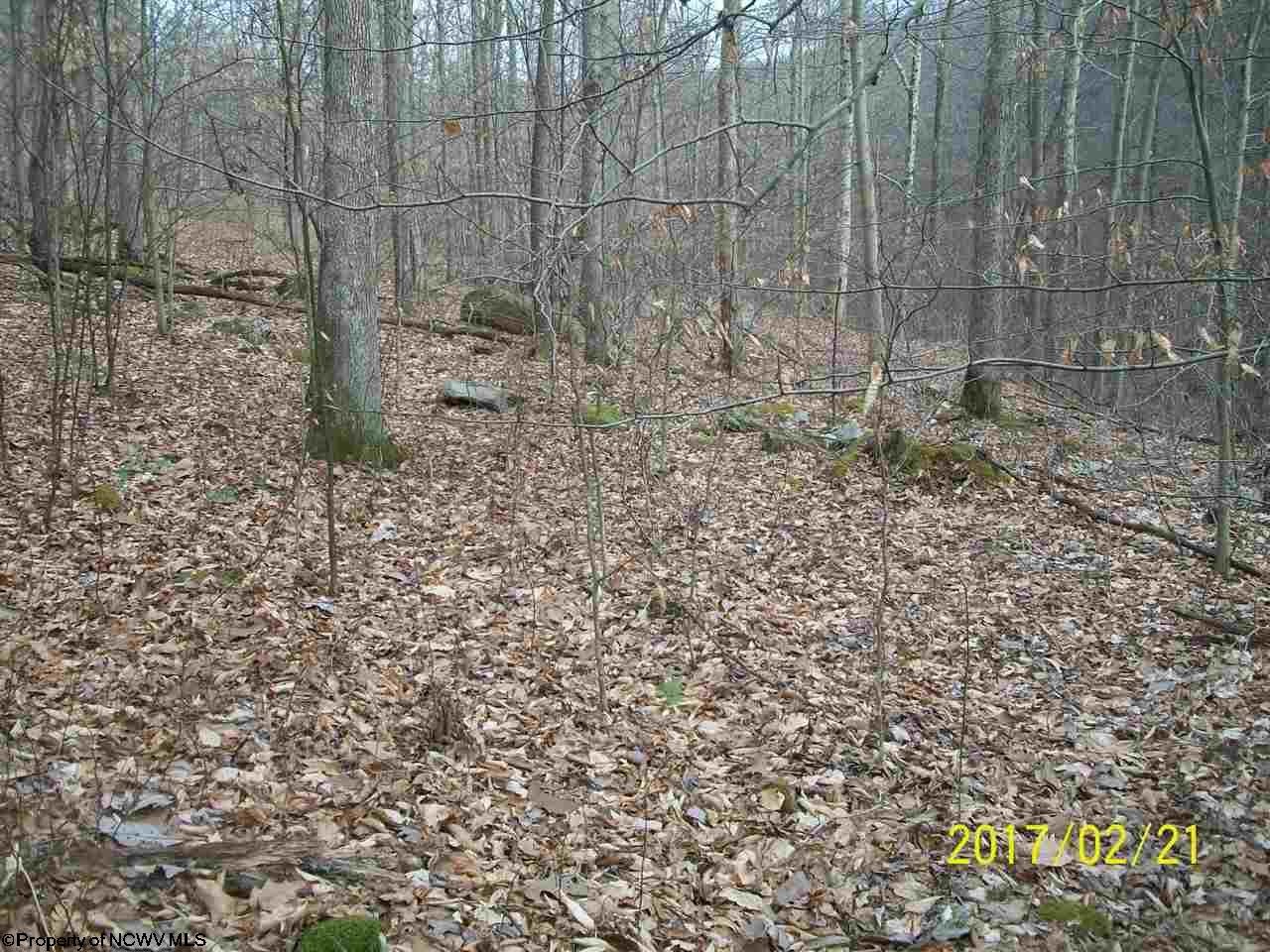 0 Clemtown Road Philippi, WV 26416 - Photo 5 of 8 Gallery Image 5