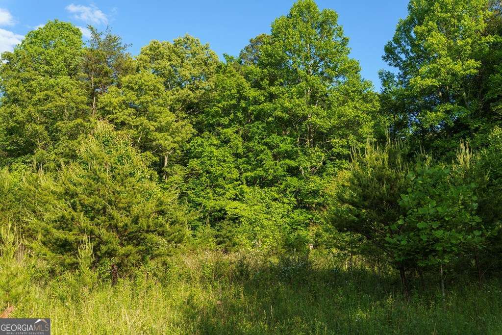 1 West Gum Log Road Warne, NC 28909 - Photo 20 of 26