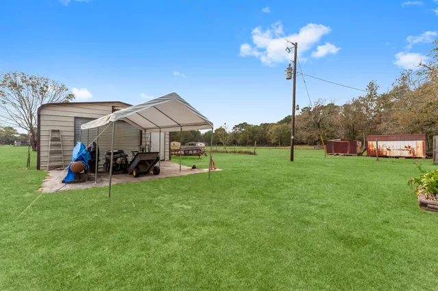 a view of garden with trees