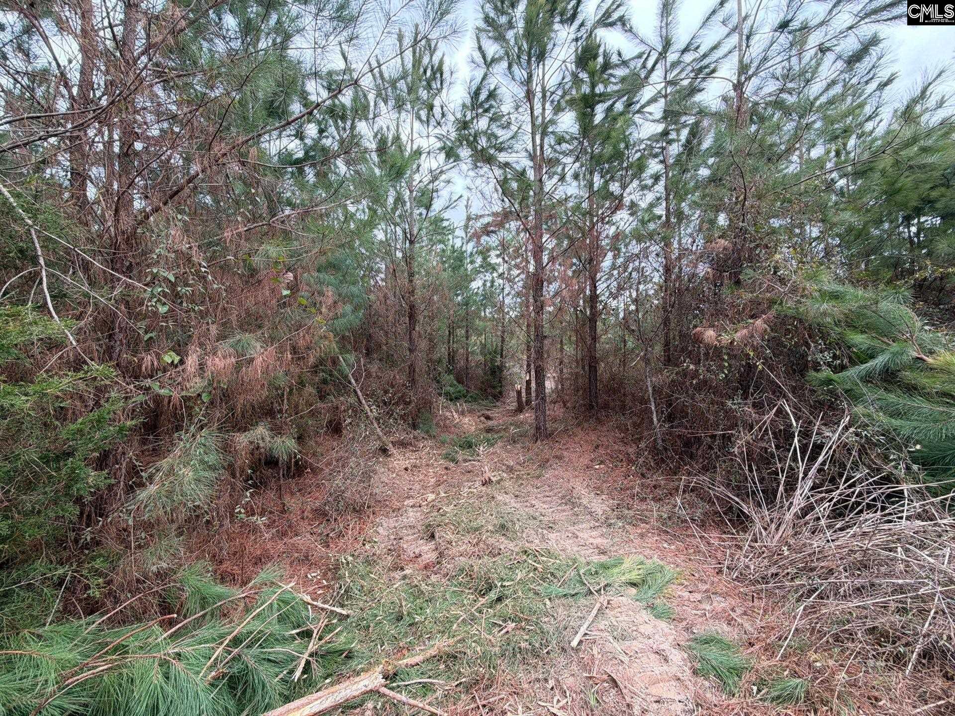 4 Jc Barefoot Road, Unit BFF II 4 Patrick, SC 29584 - Photo 15 of 32