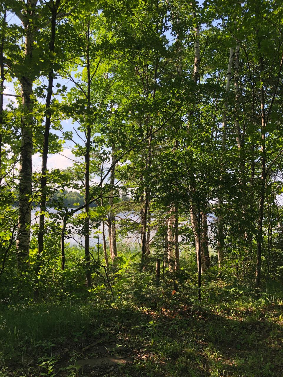 12232 Old W Road Presque Isle, WI 54557 - Photo 26 of 28 Gallery Image 26