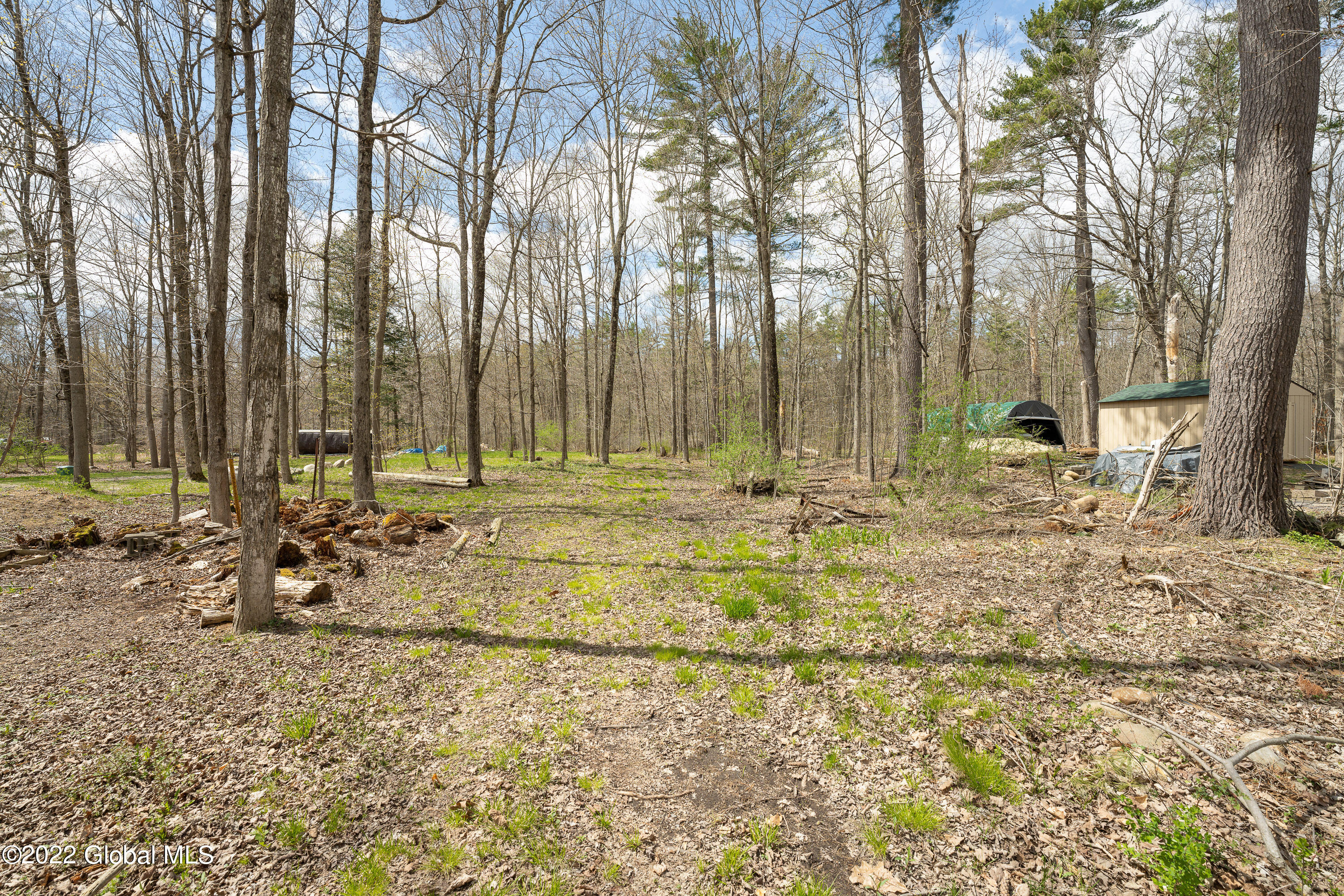 88 Connolly Road Ballston, NY 12019 - Photo 17 of 28 Ground 4