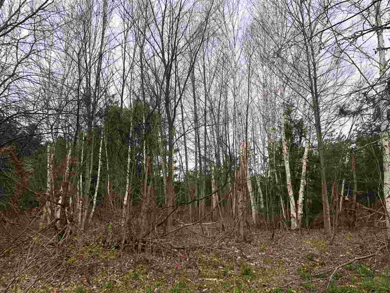 40-acres East Cranberry Lake Road Harrison, MI 48625 - Photo 14 of 21