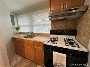 a kitchen with a stove and a sink