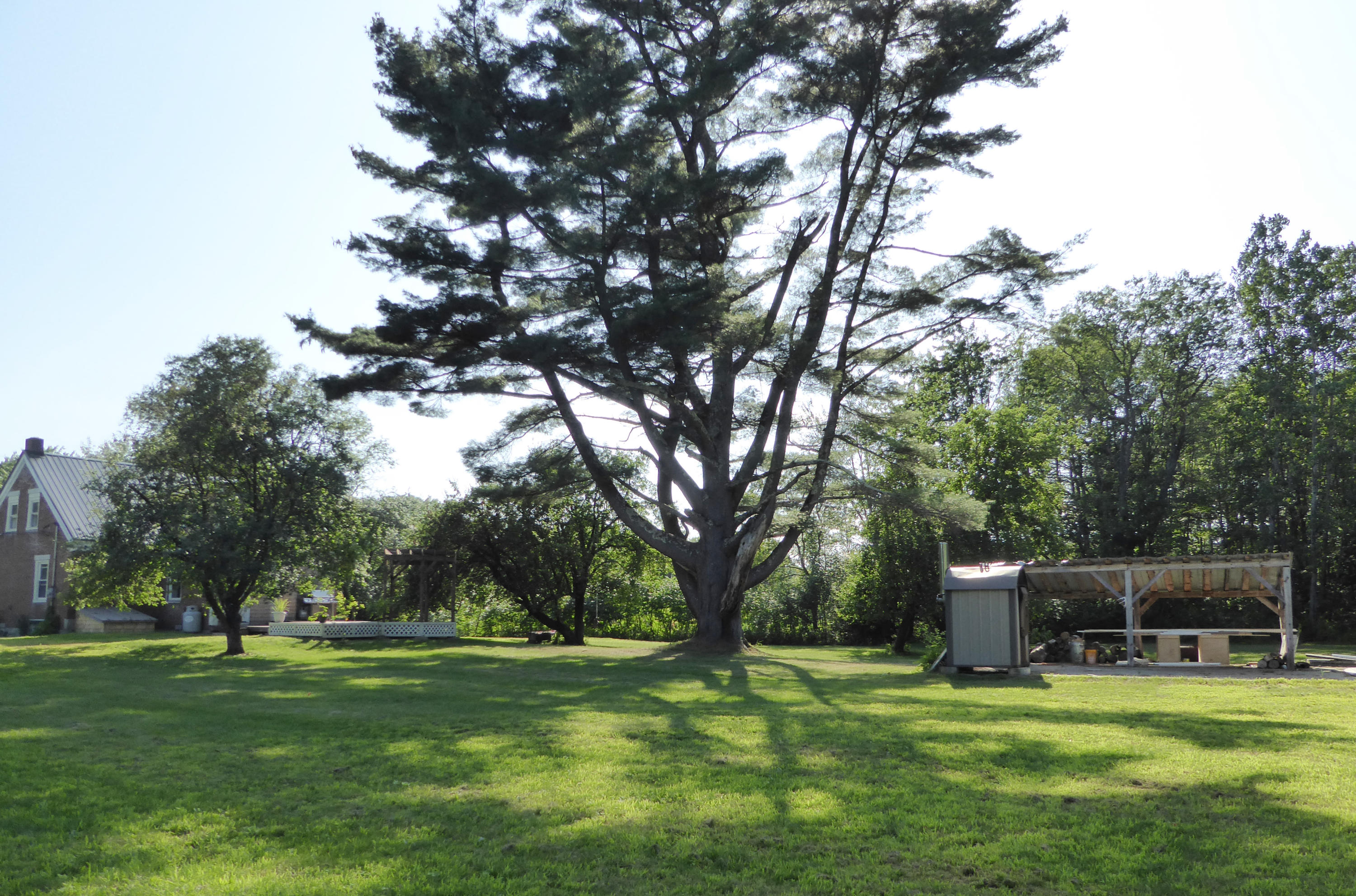 321 New Portland Road North Anson, ME 04958 - Photo 16 of 41 Back Yard