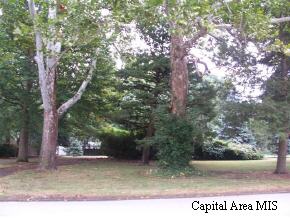 1940 South Wiggins Avenue Springfield, IL 62704 - Photo 2 of 5