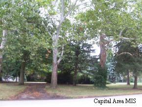 1940 South Wiggins Avenue Springfield, IL 62704 - Photo 3 of 5