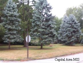 1940 South Wiggins Avenue Springfield, IL 62704 - Photo 4 of 5