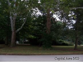 1940 South Wiggins Avenue Springfield, IL 62704 - Photo 5 of 5