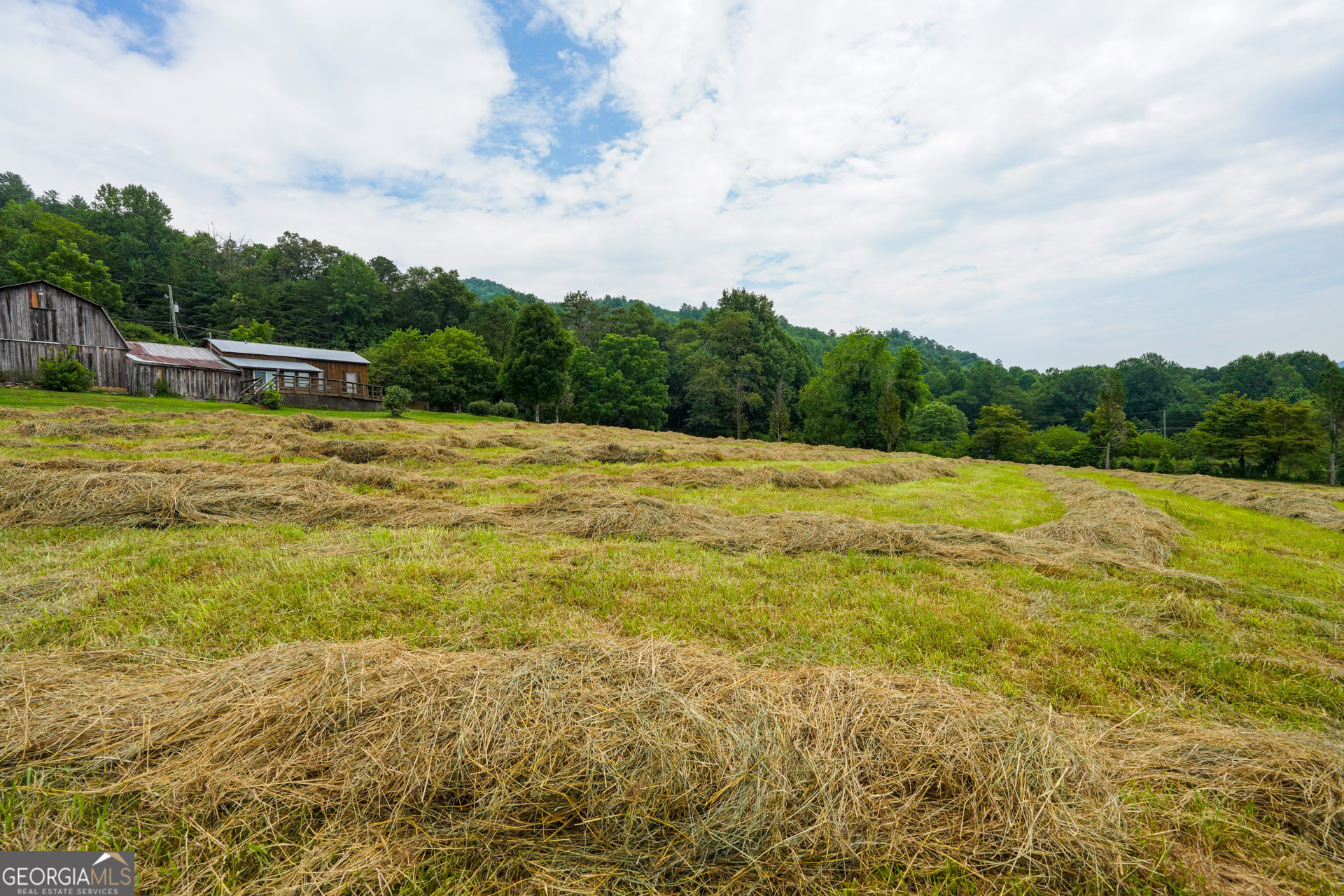 5192 Wolffork Road Rabun Gap, GA 30568 - Photo 44 of 56