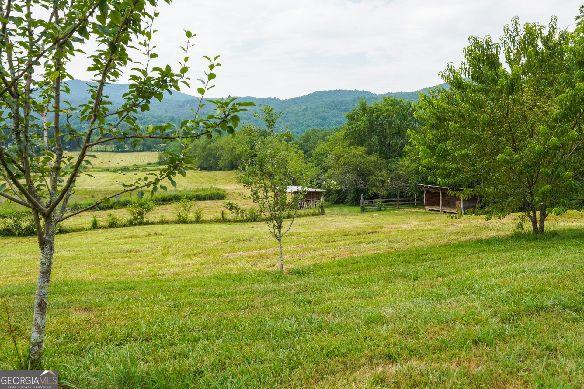 5192 Wolffork Road Rabun Gap, GA 30568 - Photo 10 of 56