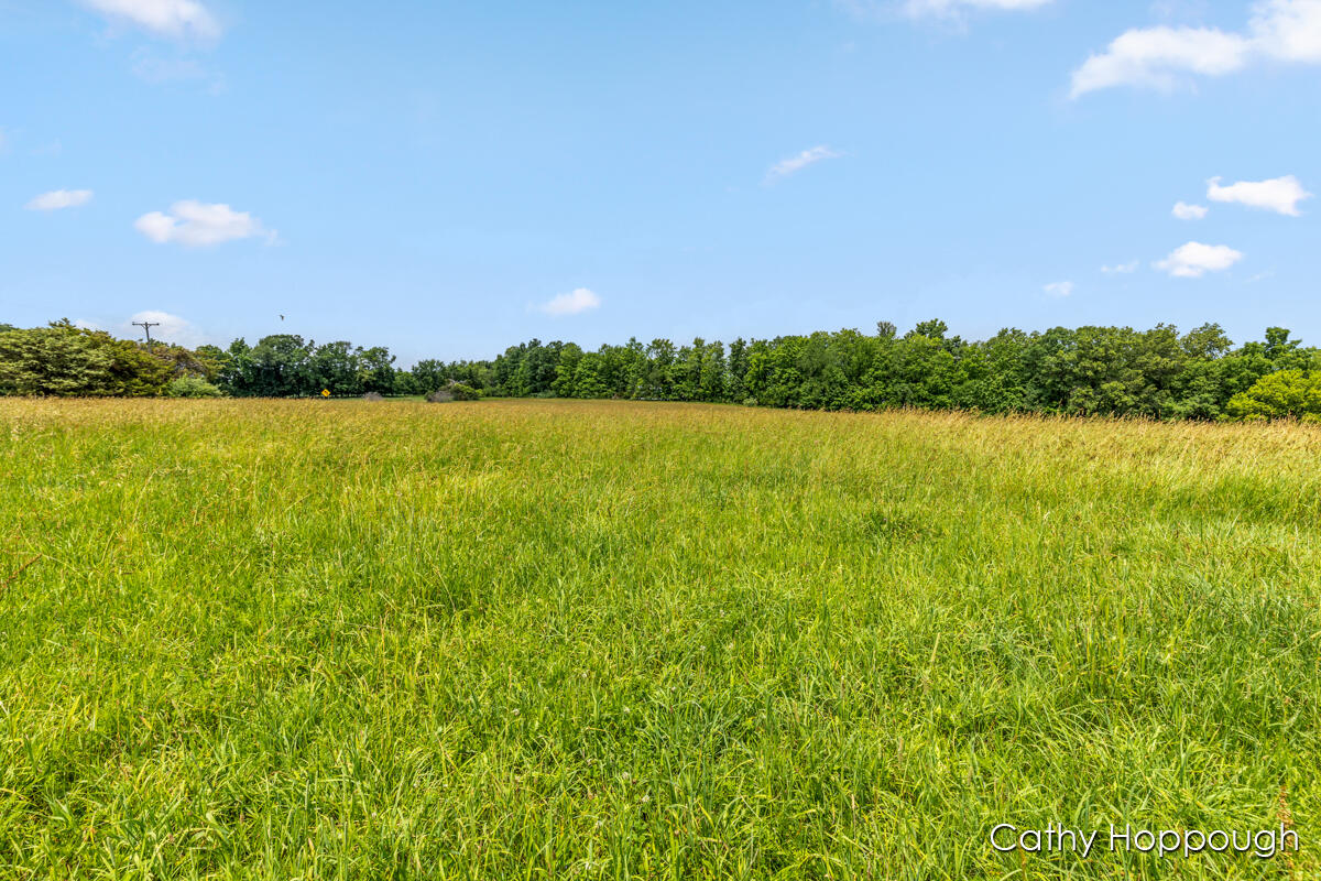 V/l Staley Road, Unit 1 Lyons, MI 48851 - Photo 2 of 26 IMG_1001