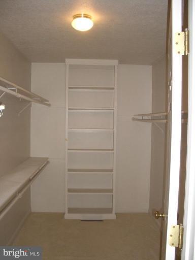 302 Huntersridge Road Winchester, VA 22602 - Photo 8 of 16 master closet