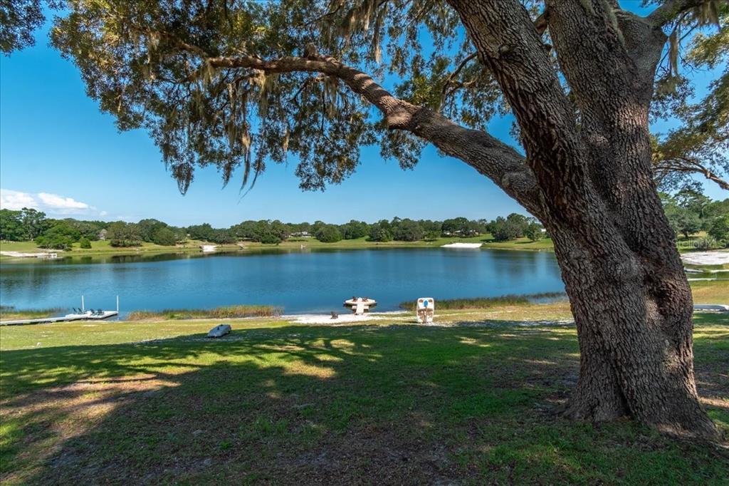 10522 Southeast 146th Terrace Road Ocklawaha, FL 32179 - Photo 56 of 81